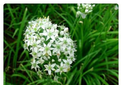 哪位朋友知道,电视机进水了怎么办?