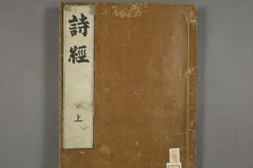 诗经中出现过的白茅是什么 古人对白茅有怎样的情节