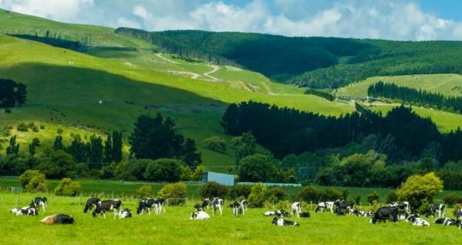 十大地球上最好的气候(温带海洋性气候的特点) 3