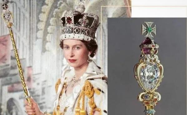 十大最贵的动物产品是什么（最贵动物产品排名第一）  4