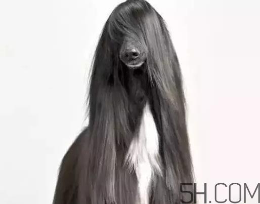 发蜡可以带上飞机吗？发蜡可以带上高铁吗