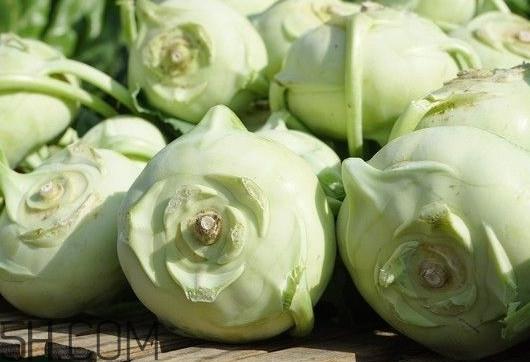 大头菜是发物吗？大头菜是卷心菜吗