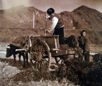 ​生产队解散的最后一年，老百姓迫切等待改革开放政策的到来