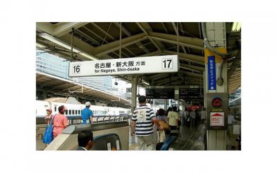 ​看都不敢看你一眼。结果自己还是不敢去爱