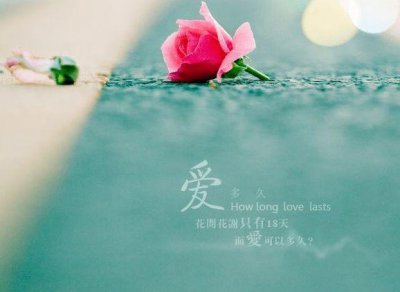 ​很浪漫的六个字句在这里