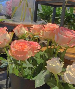 ​拜托别再给“范八亿们”帮忙了