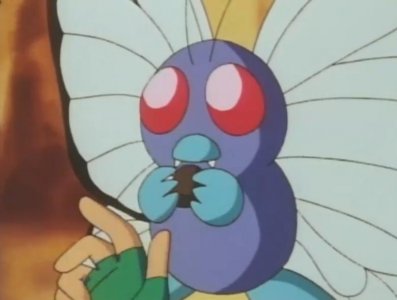 ​盘点九只蝴蝶形态的虫系神奇宝贝，最后一只种族值逆天！