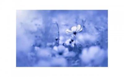 ​什么是性冲动 性冲动有什么表现