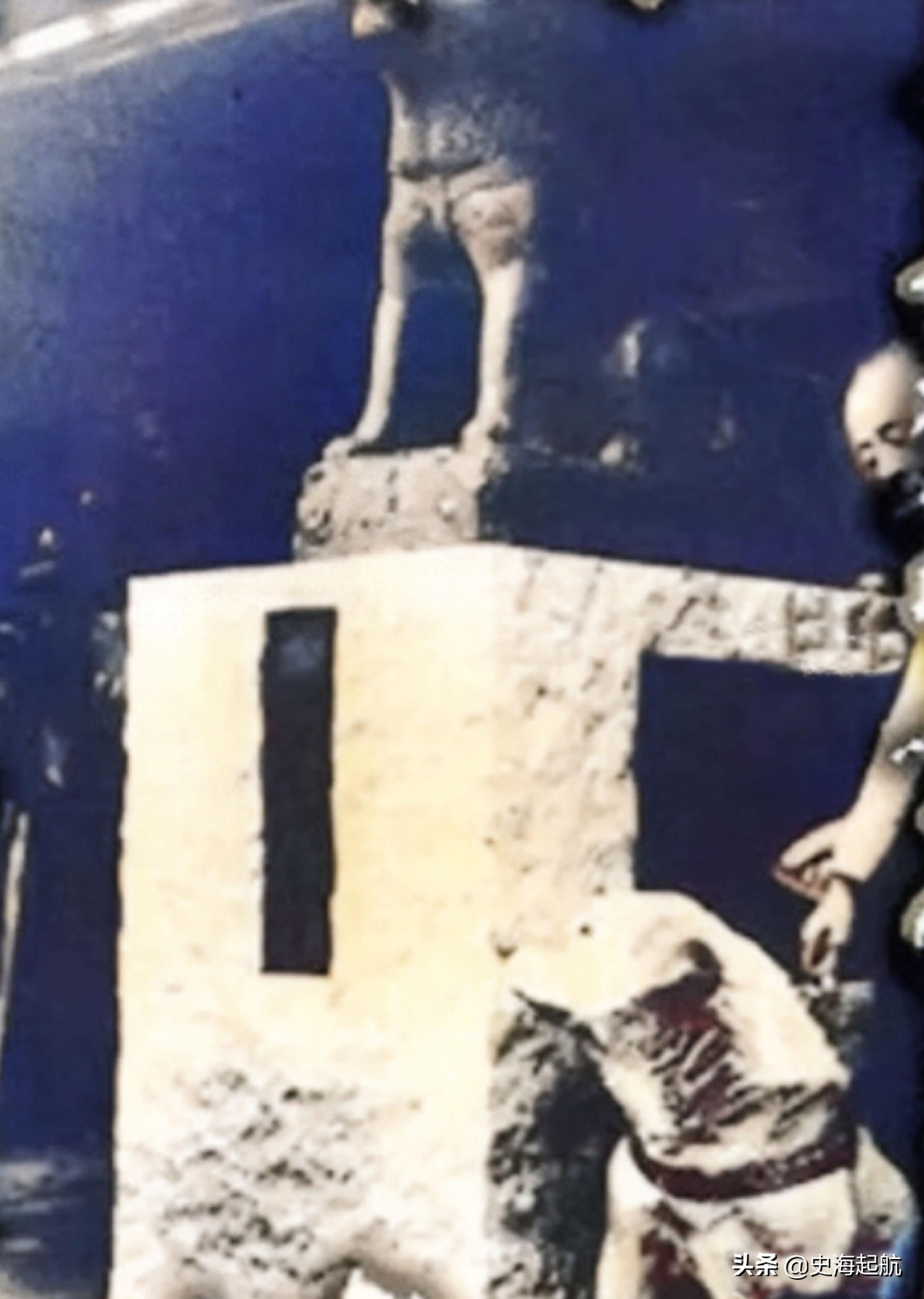 忠犬八公真实照片,主人已不在人世,但它每天仍然坐那盼主人回来