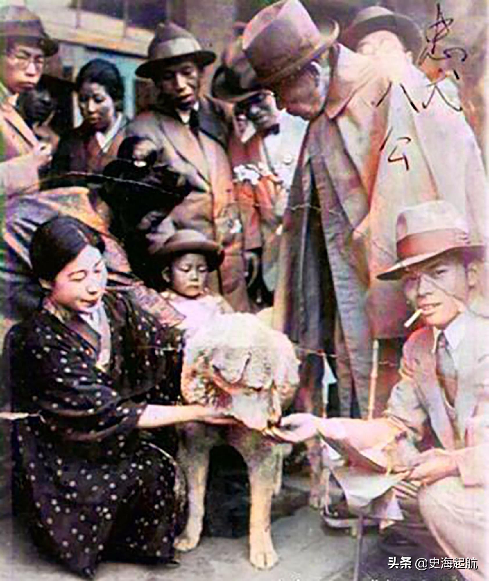 忠犬八公真实照片,主人已不在人世,但它每天仍然坐那盼主人回来