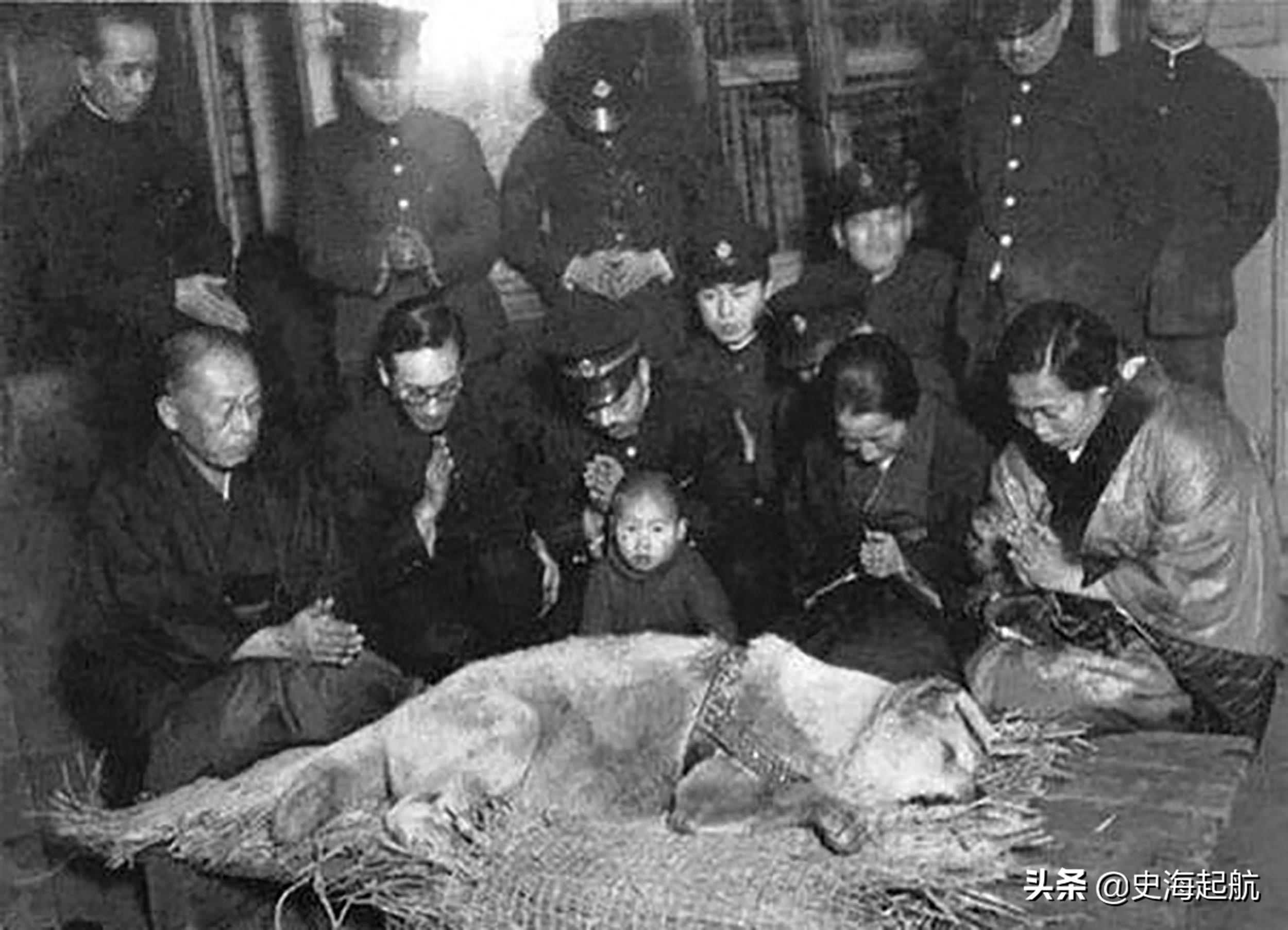 忠犬八公真实照片,主人已不在人世,但它每天仍然坐那盼主人回来