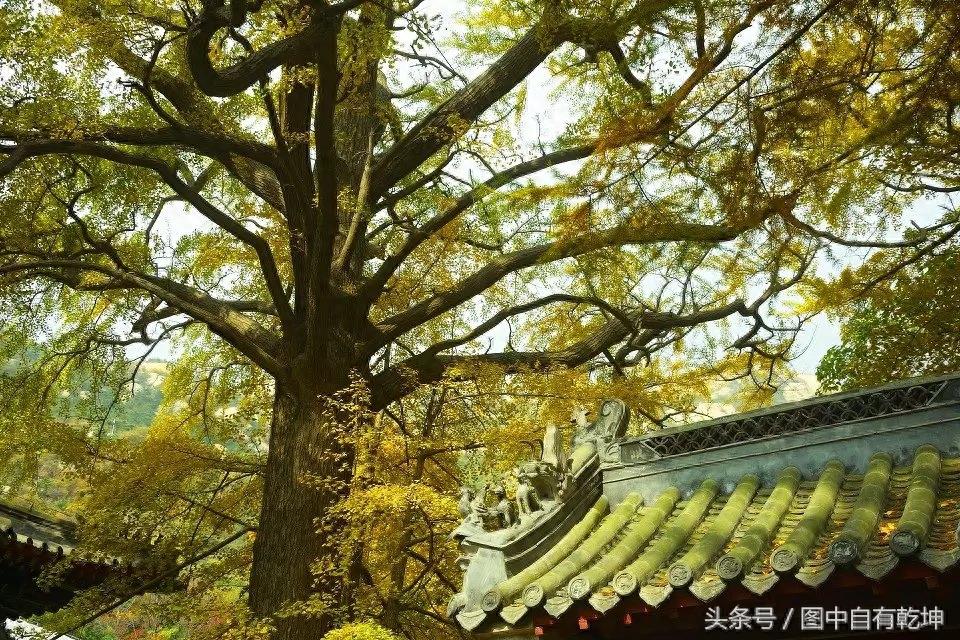 探访崂山太清宫,曾是全真派驻地,一代宗师张三丰终年在此修炼