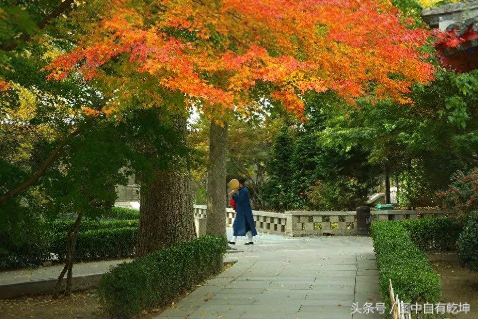 探访崂山太清宫,曾是全真派驻地,一代宗师张三丰终年在此修炼