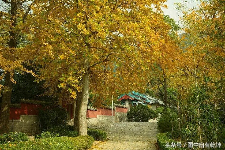 探访崂山太清宫,曾是全真派驻地,一代宗师张三丰终年在此修炼