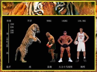 ​东北虎被神秘猛兽吃得尸骨无存，战斗民族俄罗斯称它为“撒旦”