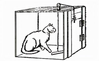 ​教师招聘备考-桑代克的“猫”