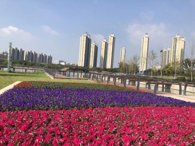 ​庆国庆盐姐姐说｜海盐：这些公园景美还免费