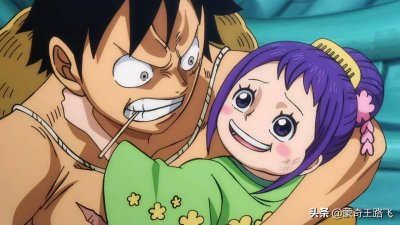 ​海贼王905集：小菊诠释可爱，罗不仅智商下降，纹身还被弄丢了