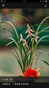 ​别小看懒人，懒人其实是聪明人