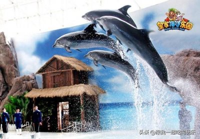 ​沈阳抚顺有一个海洋馆上央视多次，到底是什么样子