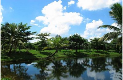 ​国庆海口周边游：白沙门公园，海口世纪大桥，长影环球100