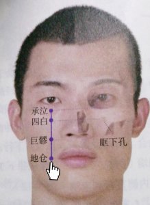 ​每日一穴———地仓穴