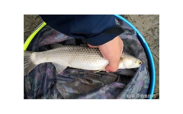 追女生不能有的表现,这些事情不能做 追女生不能有的表现,这些事情不能做