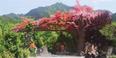 ​丹凤县竹林关镇经济社会发展综述