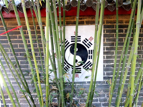 枣庄中陈赫村的泰山奶奶庙，不大名气却不小，你去过吗