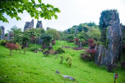 ​四川广安的华蓥山石林景区