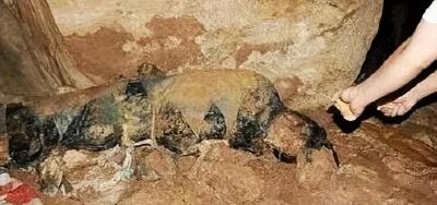 ​中国神秘事件