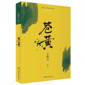 ​读王跃文《苍黄》有感，值得一读的官场小说
