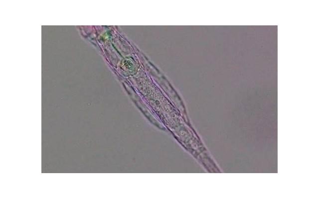 婚前承诺书有没有法律效力