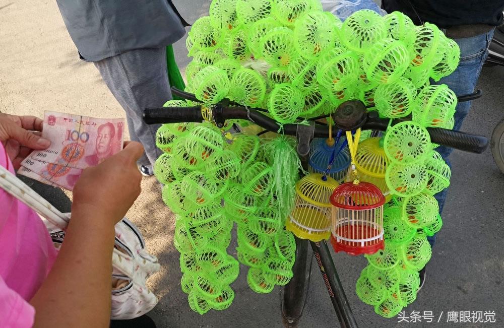 农村娃在地里随便抓的蝈蝈，城里却卖到10元一只，10分钟赚300元