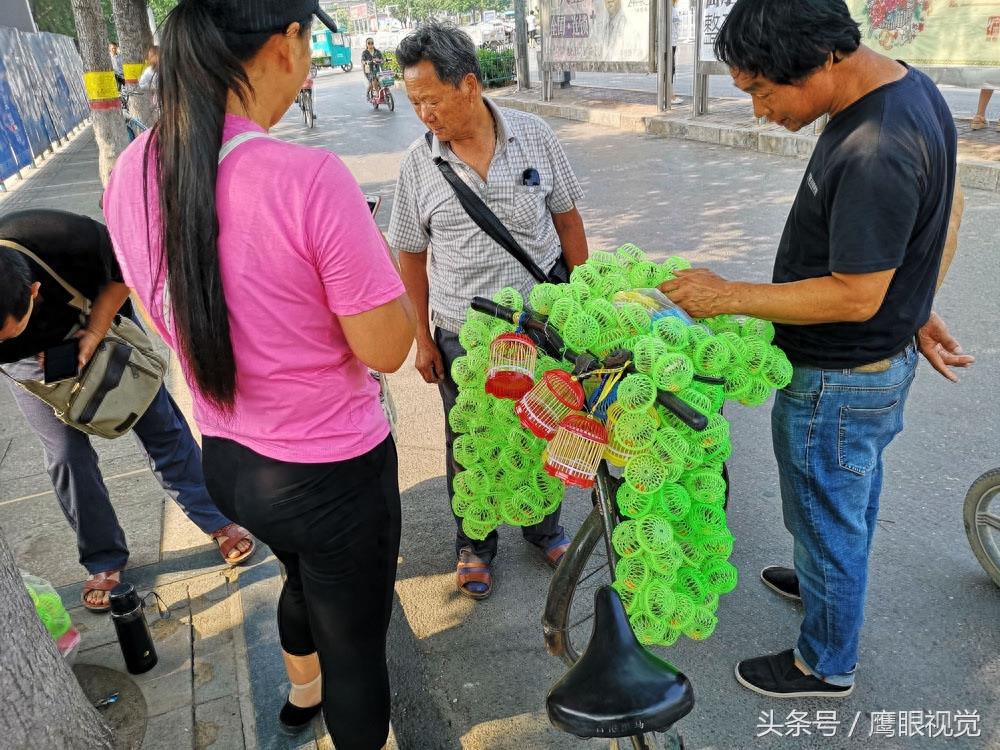 农村娃在地里随便抓的蝈蝈，城里却卖到10元一只，10分钟赚300元