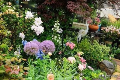 ​14个乡村小院改造，院子里建花园，一个月不出门也不会无聊