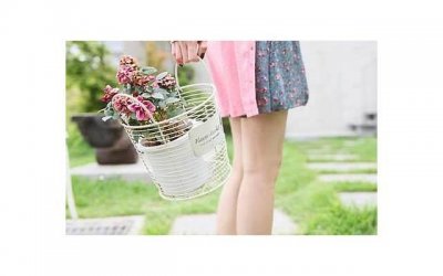 ​章子怡撒贝宁结婚照（章子怡与撒贝宁的合照）