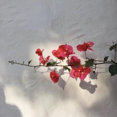 一生平安微信风景头像大全