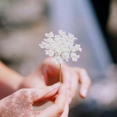 一生平安微信风景头像大全