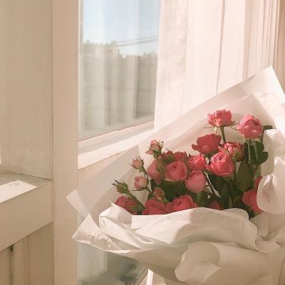 一生平安微信风景头像大全