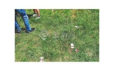 ​追女生怎么逗她开心？逗女生开心的套路都有哪些？