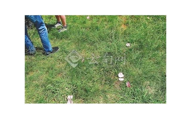 追女生怎么逗她开心？逗女生开心的套路都有哪些？