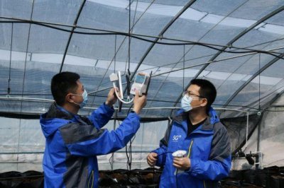 ​聚焦重点 靶向发力 潍坊联通在数字经济新赛道上跑出加速度