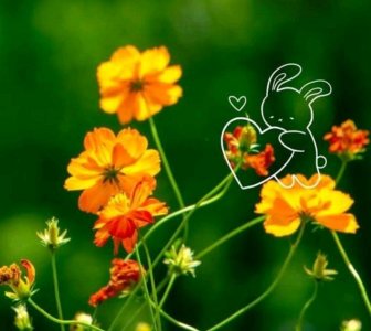 ​农历八月初一，下雨好不好？啥预兆？看完文章早知道