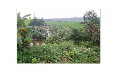 ​不想恋爱怎么办，根本原因是你太懒