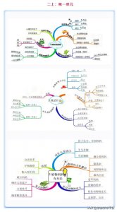 ​二年级上册全册思维导图