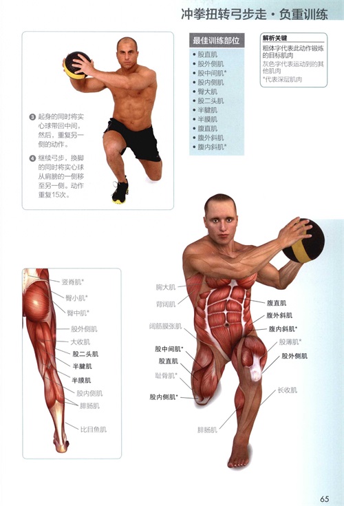 功能性训练完全图解