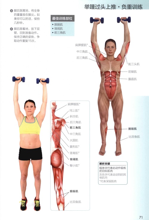 功能性训练完全图解