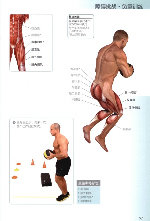 功能性训练完全图解
