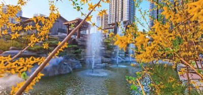 ​亚星江南小镇实景公园，邀你共赏意趣春天